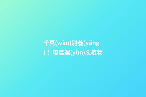 千萬(wàn)別養(yǎng)！帶霉運(yùn)惡植物